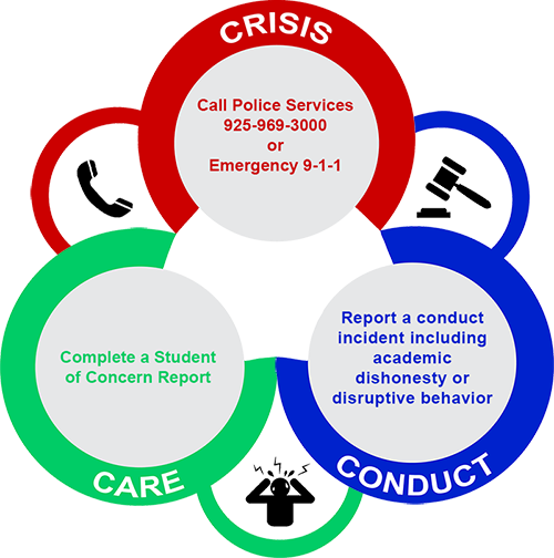 Crisis, care and conduct image