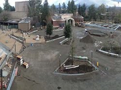 commons construction-above- 11-10-14
