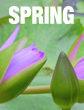 Spring schedule image