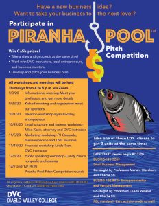 Piranha Pool Flyer