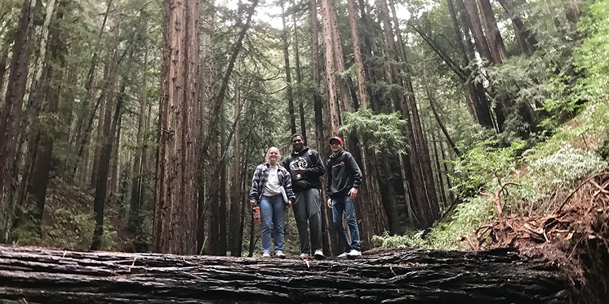 DVC students in Redwood Regional Park