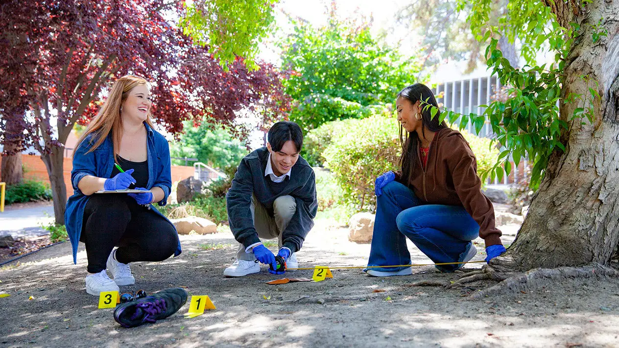 Students studying a mock crime scene.