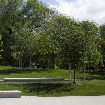 Scenic view of campus