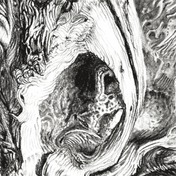 DVC Art Show "Lines"