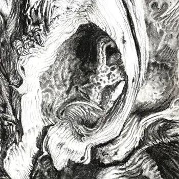 DVC Art Show "Lines"