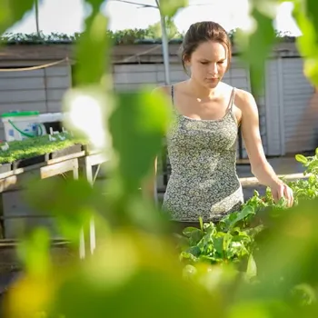 Lady working in a garden tending to multiple plants