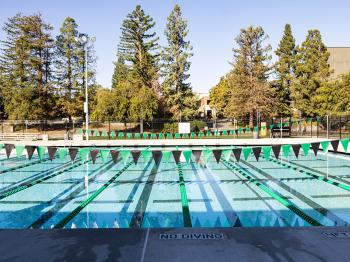 DVC Pool