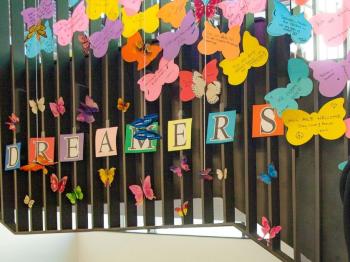 DREAMER butterfly display at DVC